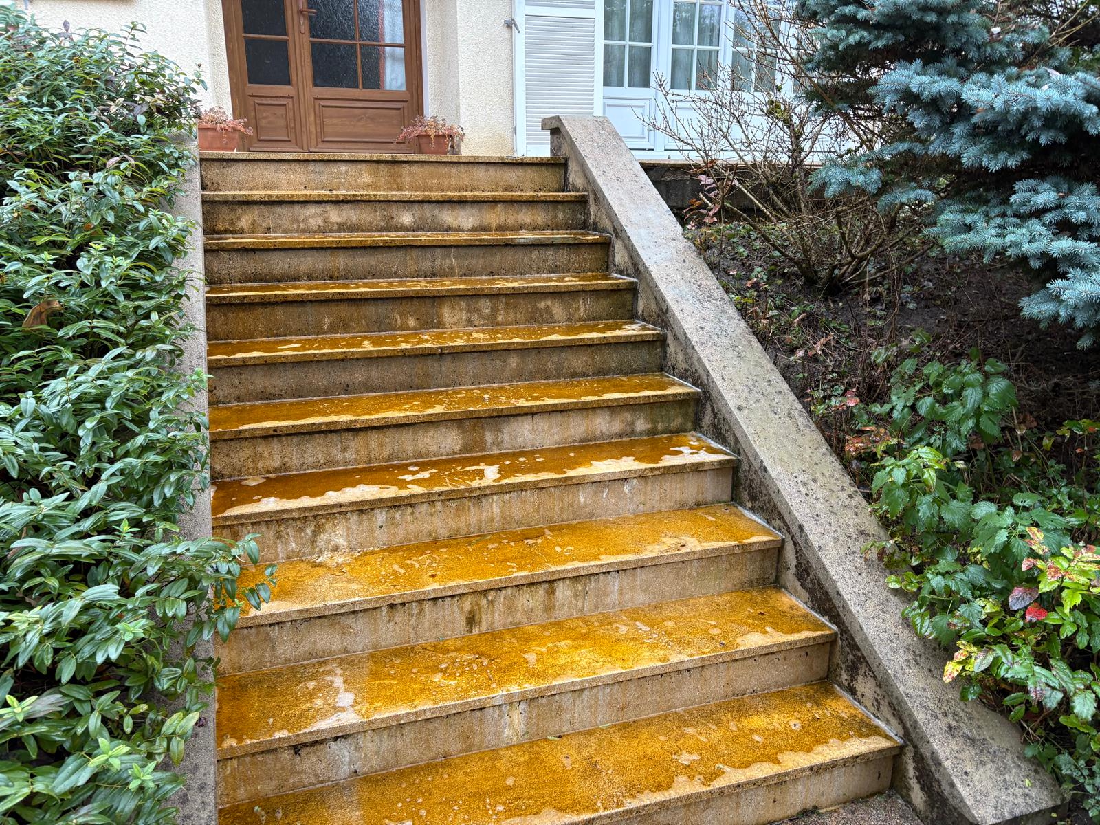 Nettoyage escalier colmar 68000 après